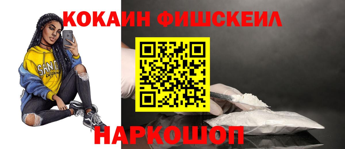 КОКАИН FishScale  Вход с VPN  COCAIN 98%  Заводоуковск 