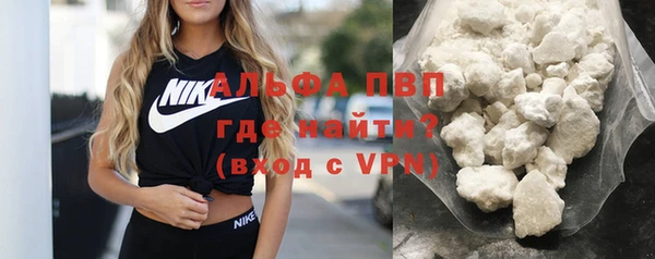 твердый Бердск
