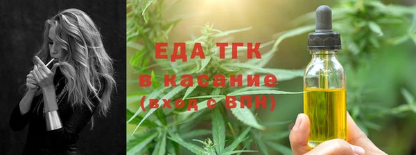 твердый Бердск