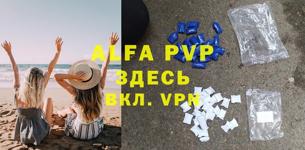 твердый Бердск