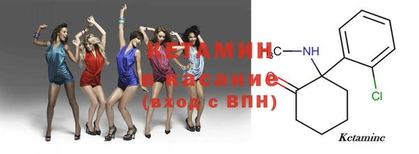твердый Бердск