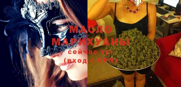твердый Бердск