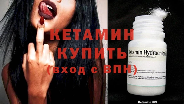 твердый Бердск