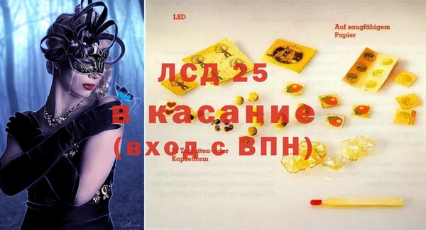 твердый Бердск