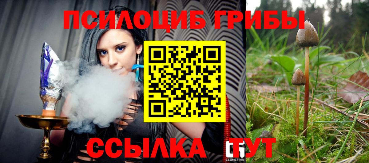 Заводоуковск  Псилоцибиновые грибы MAGIC MUSHROOMS  Вход с VPN 